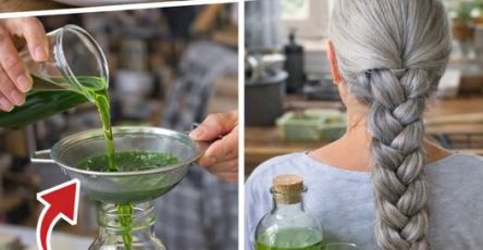 677802639 966196372666177 5700737310792496433 n