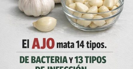 677838981 1501166434975248 7404041331165313245 n