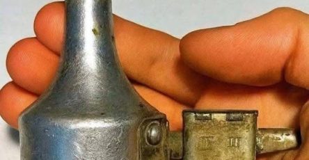 678208804 2689894971394909 1523902857934488770 n