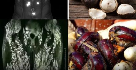 678281284 1268290638836718 3912794150597876819 n