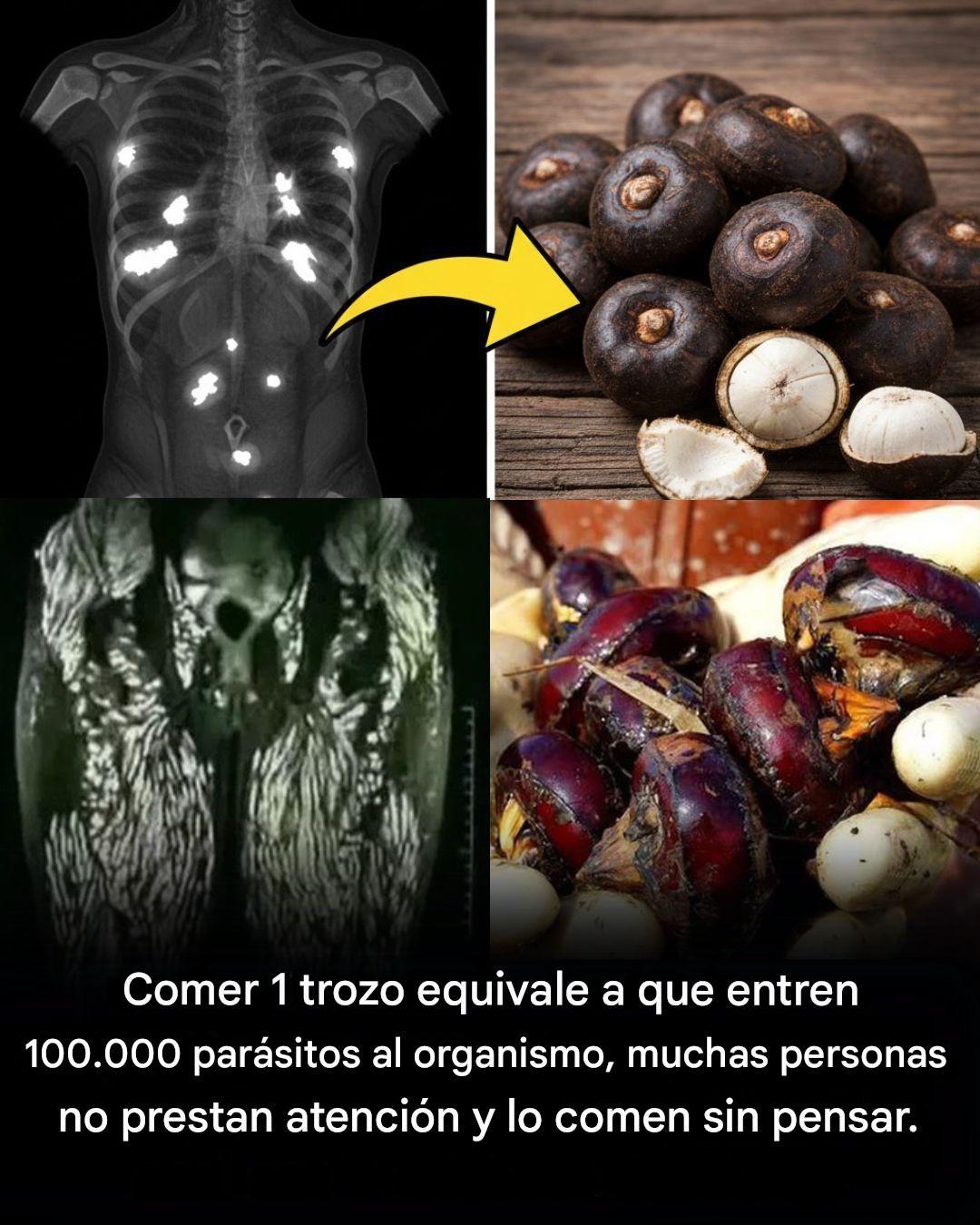 678281284 1268290638836718 3912794150597876819 n