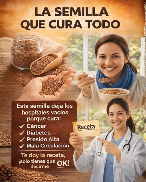 678498583 1818990482393643 6424303292010863619 n