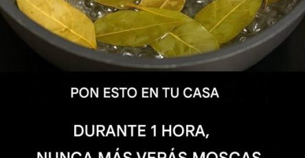 679099243 1489275672570014 8486248001987951309 n