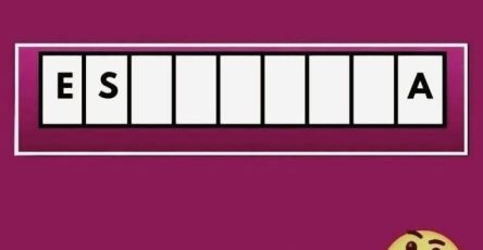 683010222 1811258289843800 7308712731130153496 n