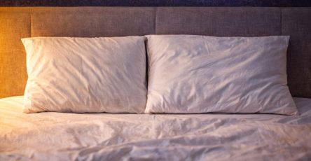 WhatsApp Image 2026 04 10 at 08.04.03