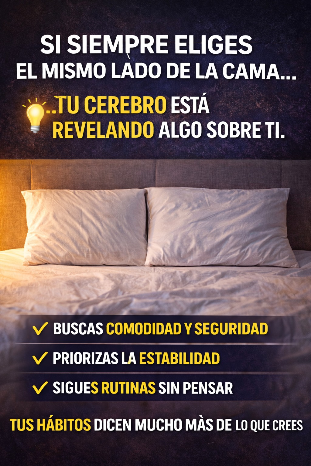 WhatsApp Image 2026 04 10 at 08.04.03