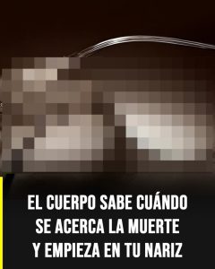 WhatsApp Image 2026 04 10 at 15.24.39