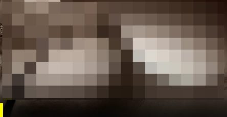 WhatsApp Image 2026 04 10 at 15.24.39