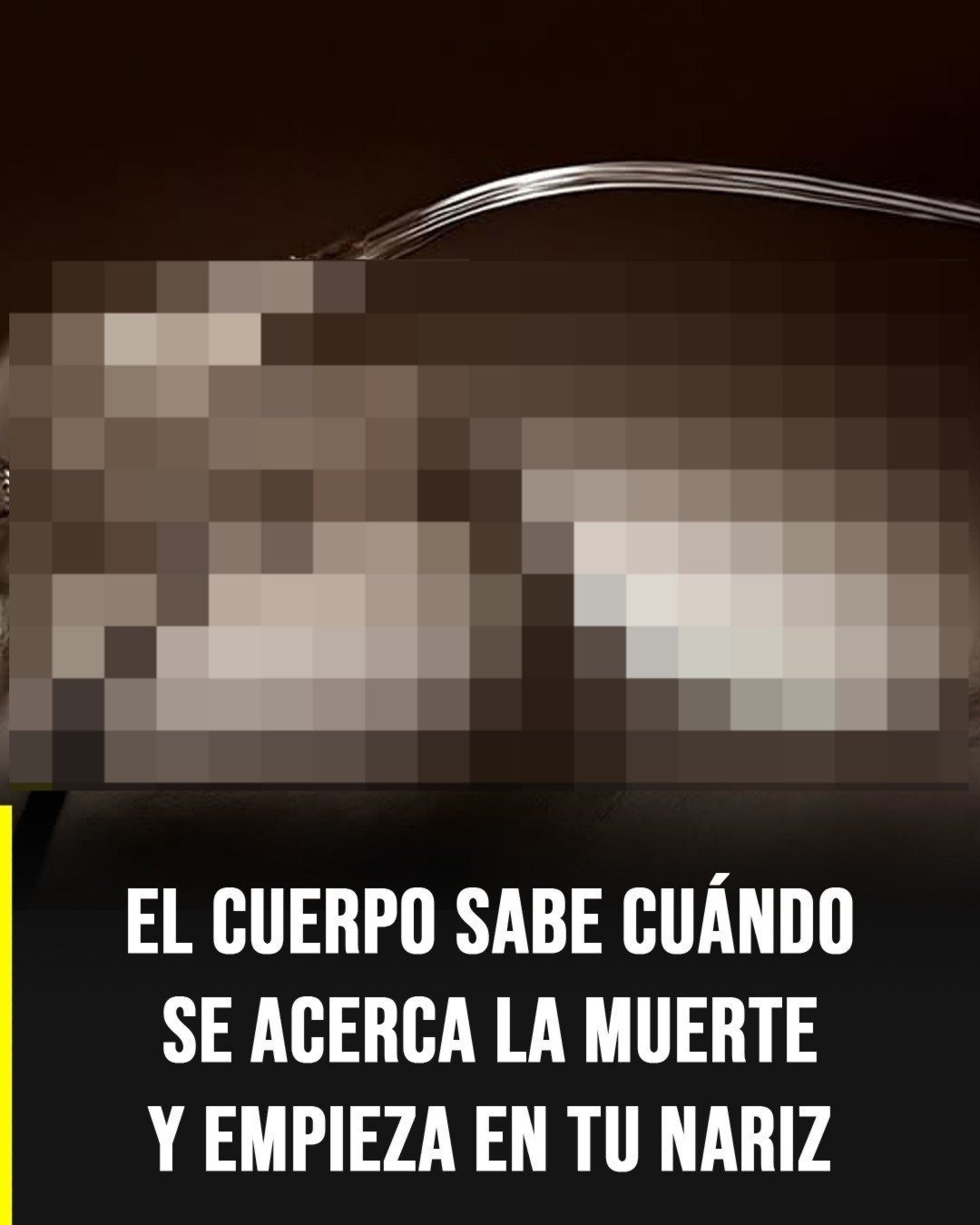 WhatsApp Image 2026 04 10 at 15.24.39