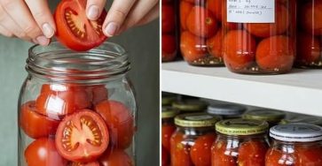 688075274 2232091500875230 9024202546382745930 n