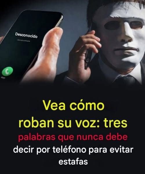 695415424 985161760585020 8916306548187176386 n