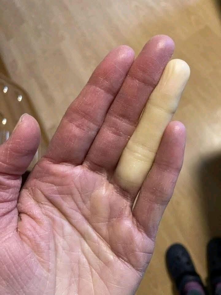 700119106 2843533959338076 5687808793654667527 n
