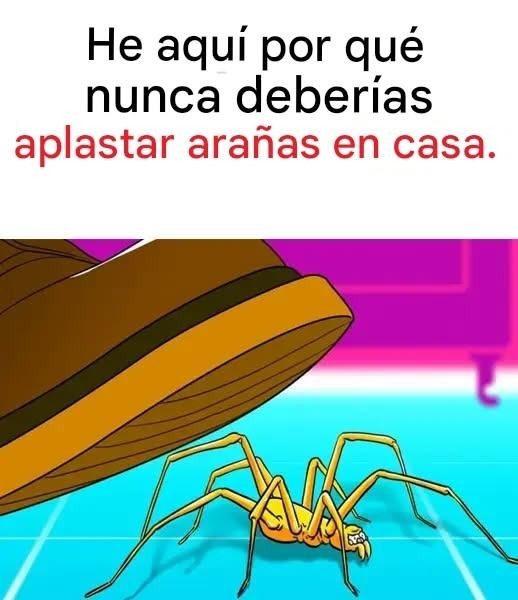 700235849 972981235583289 2413255129685085700 n