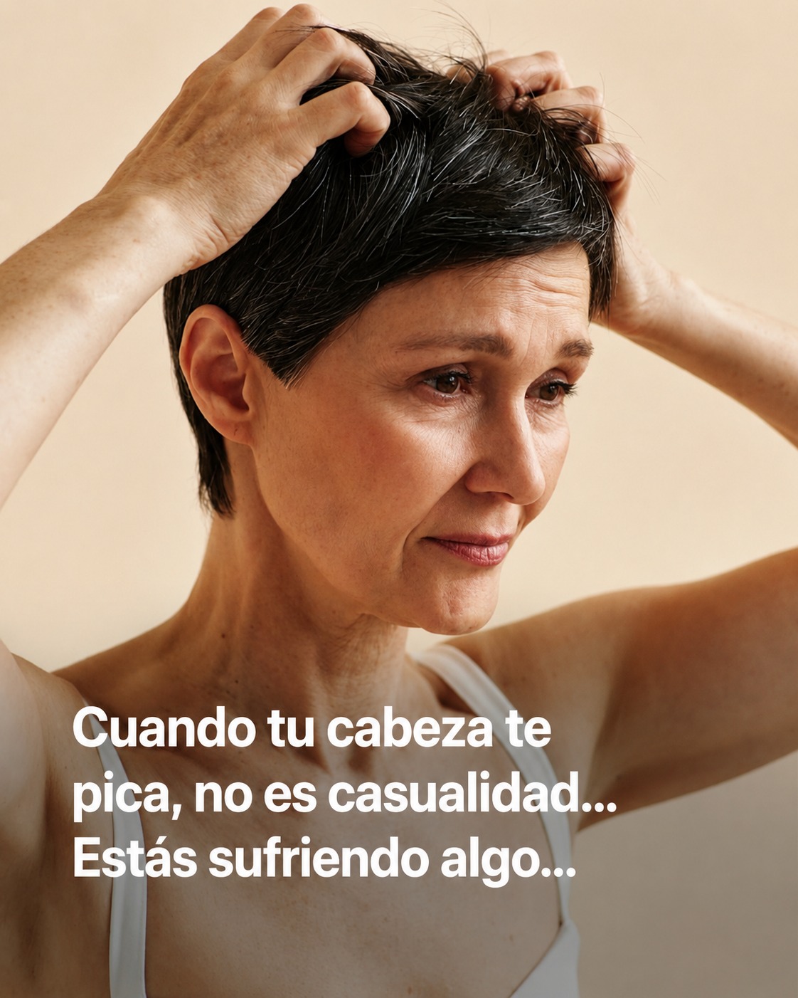 706198616 1774476607053627 8138405098635914190 n