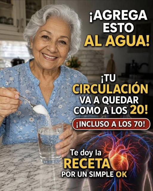 706357325 962278843368483 8730563336935793176 n