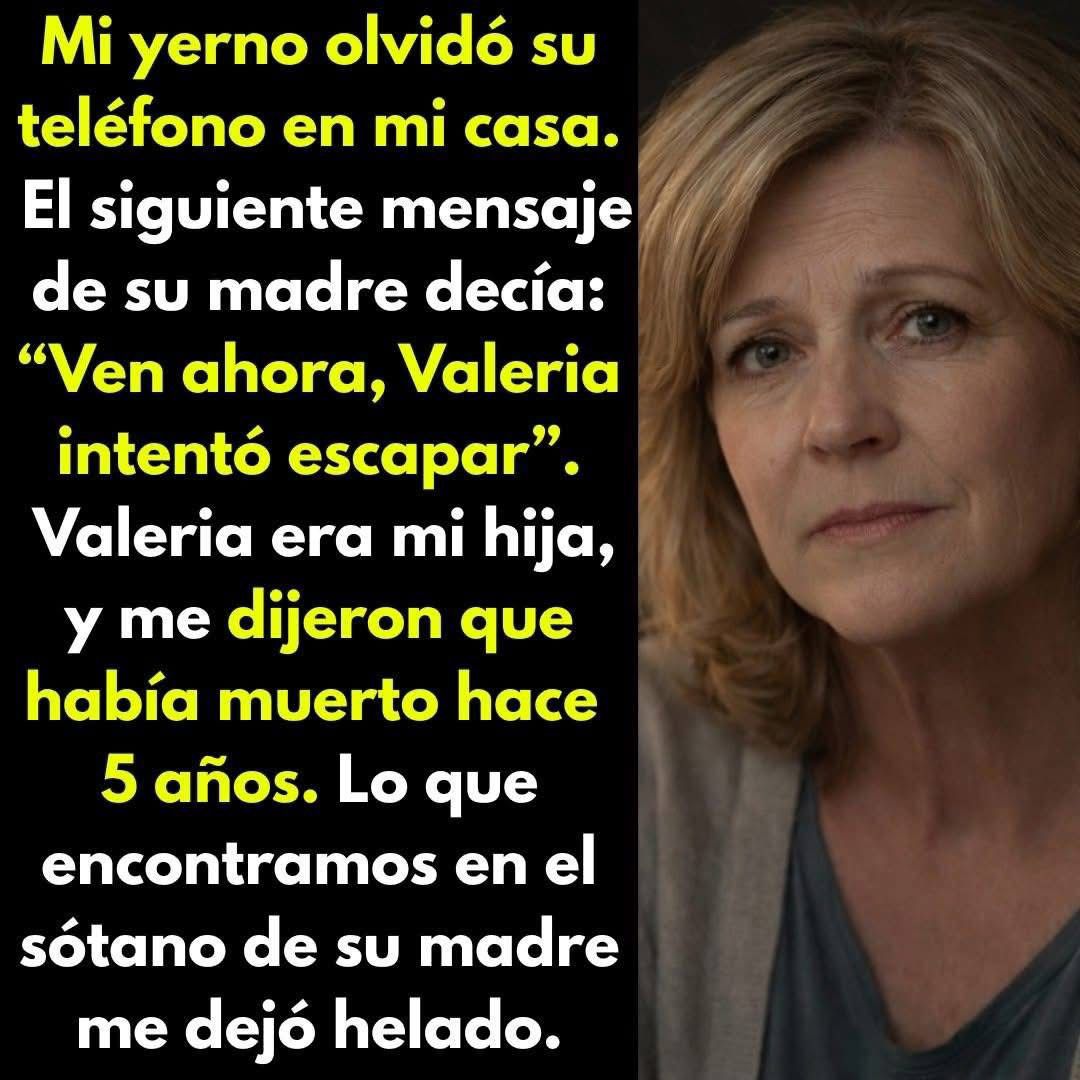 WhatsApp Image 2026 04 12 at 02.14.45