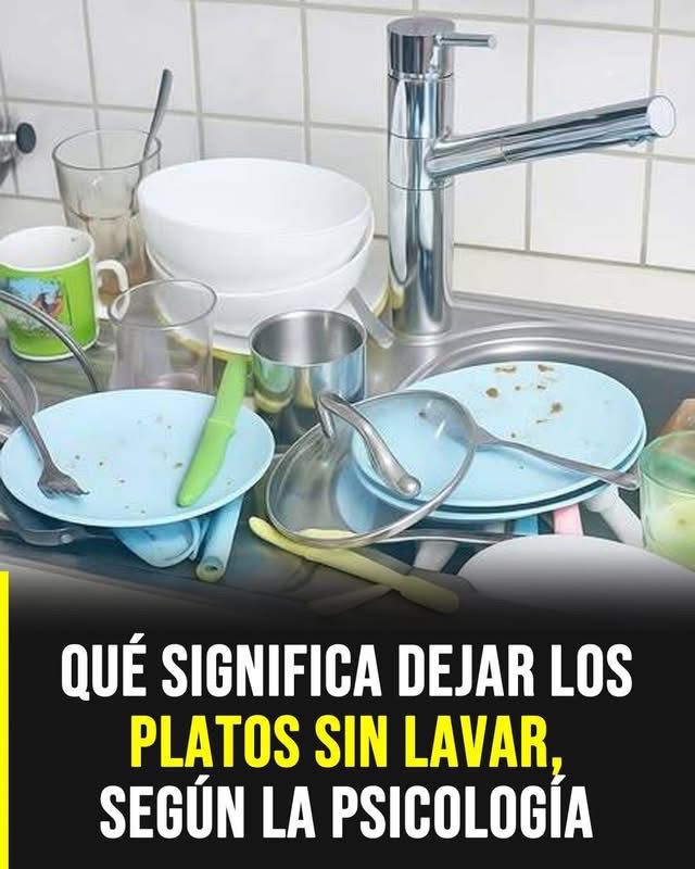 WhatsApp Image 2026 05 22 at 02.50.51