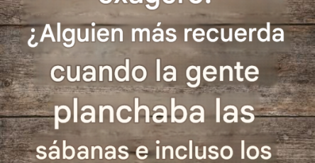 Bb5cf53a 22d4 41d2 b9eb 8643307ff119