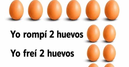723087073 122129154255209067 9106537586047065932 n