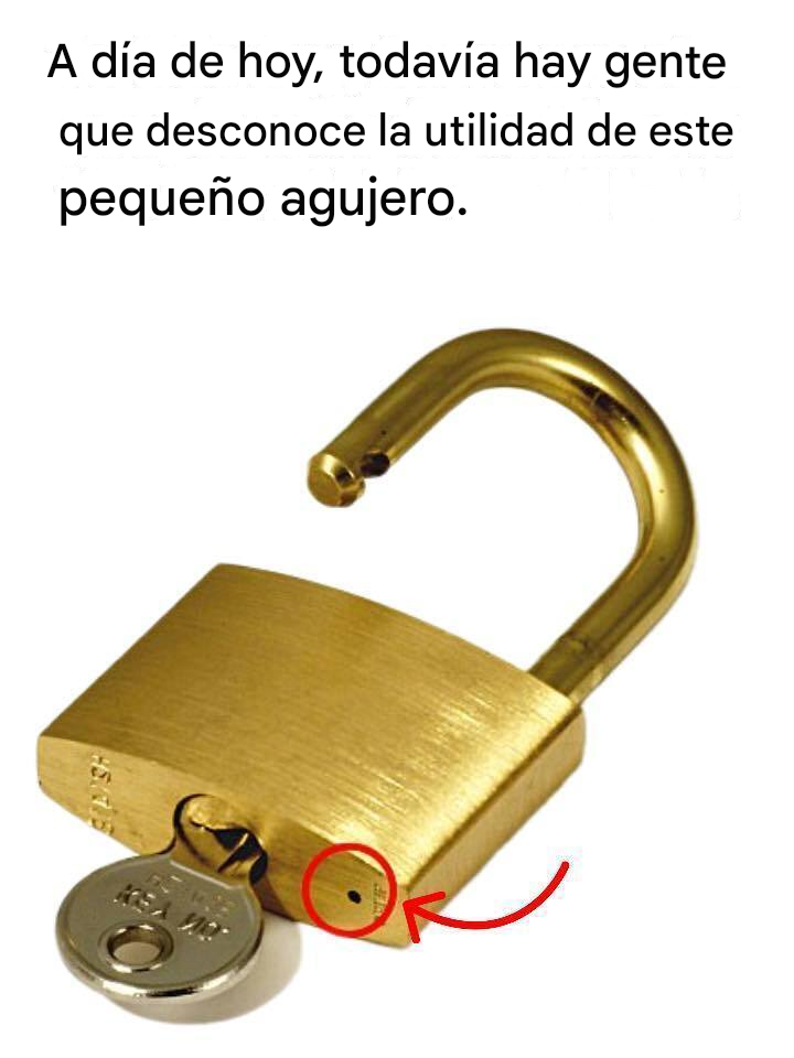 B8c7143f 504a 4f75 a5d3 d374d15d3a41