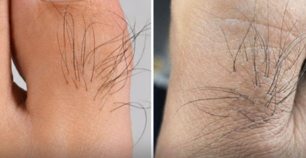 1699a440 8d22 4db7 a265 47d53b609491