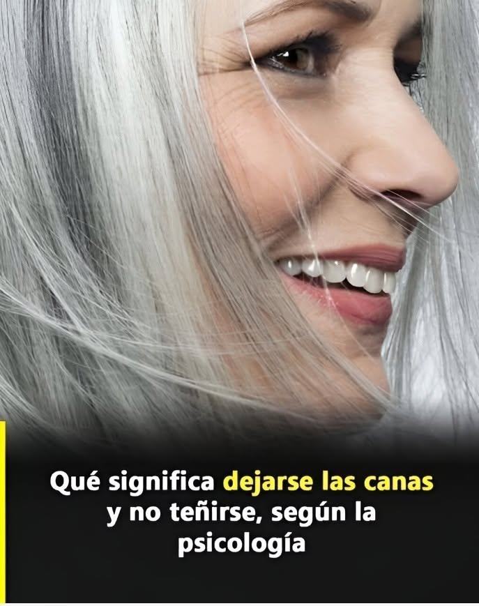 723613107 2081599202781003 7865007542156219431 n