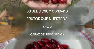9QpxrQS