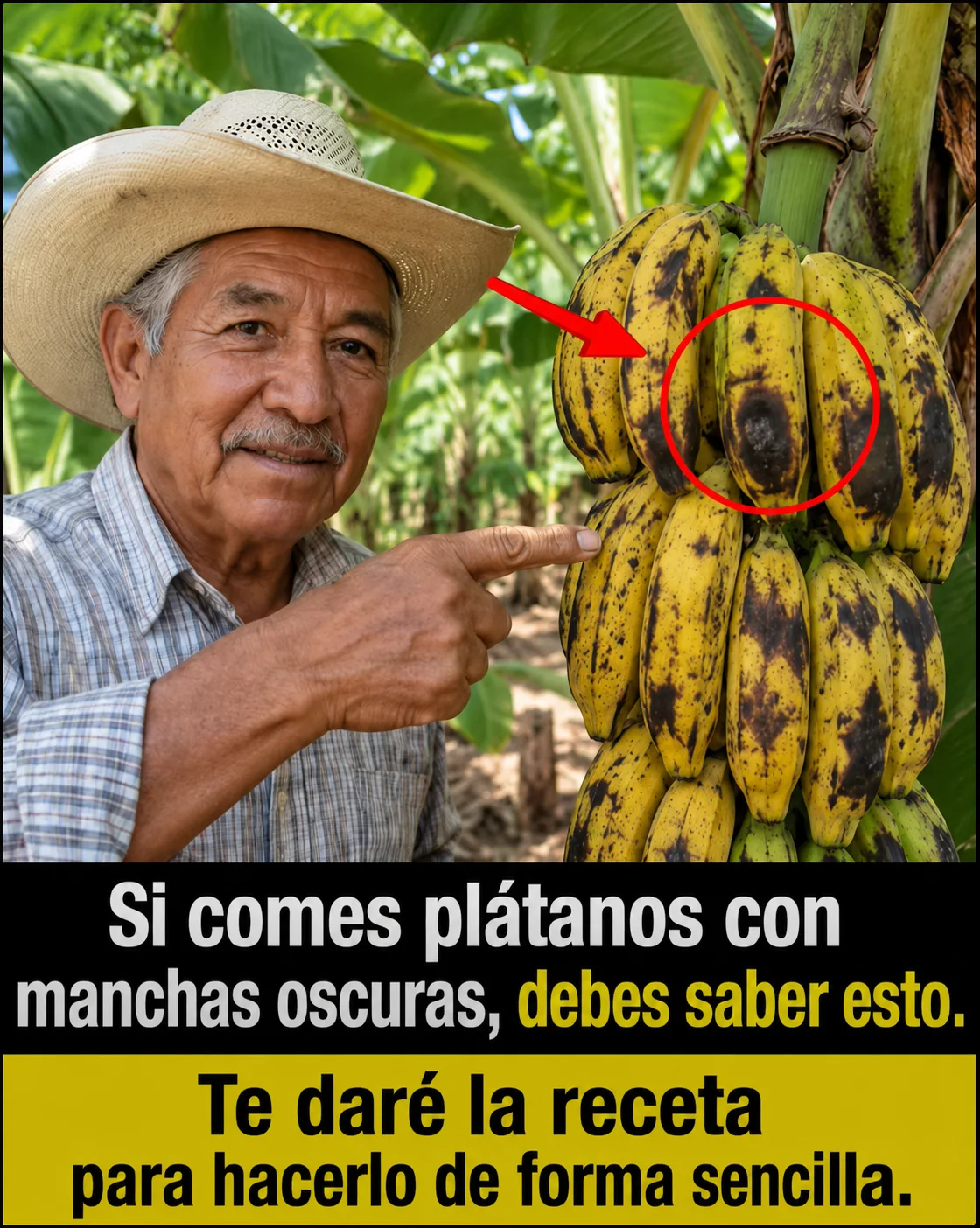 ChatGPT Image 9 ago 2026 15 02 30.png